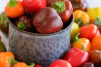 Pepper, Rainbow Mini Bell Mix (60 Days) Heirloom