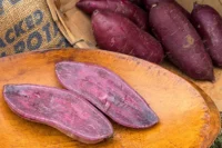 Sweet Potato Slips (20) Purple Majesty (110 Day) Shipping May